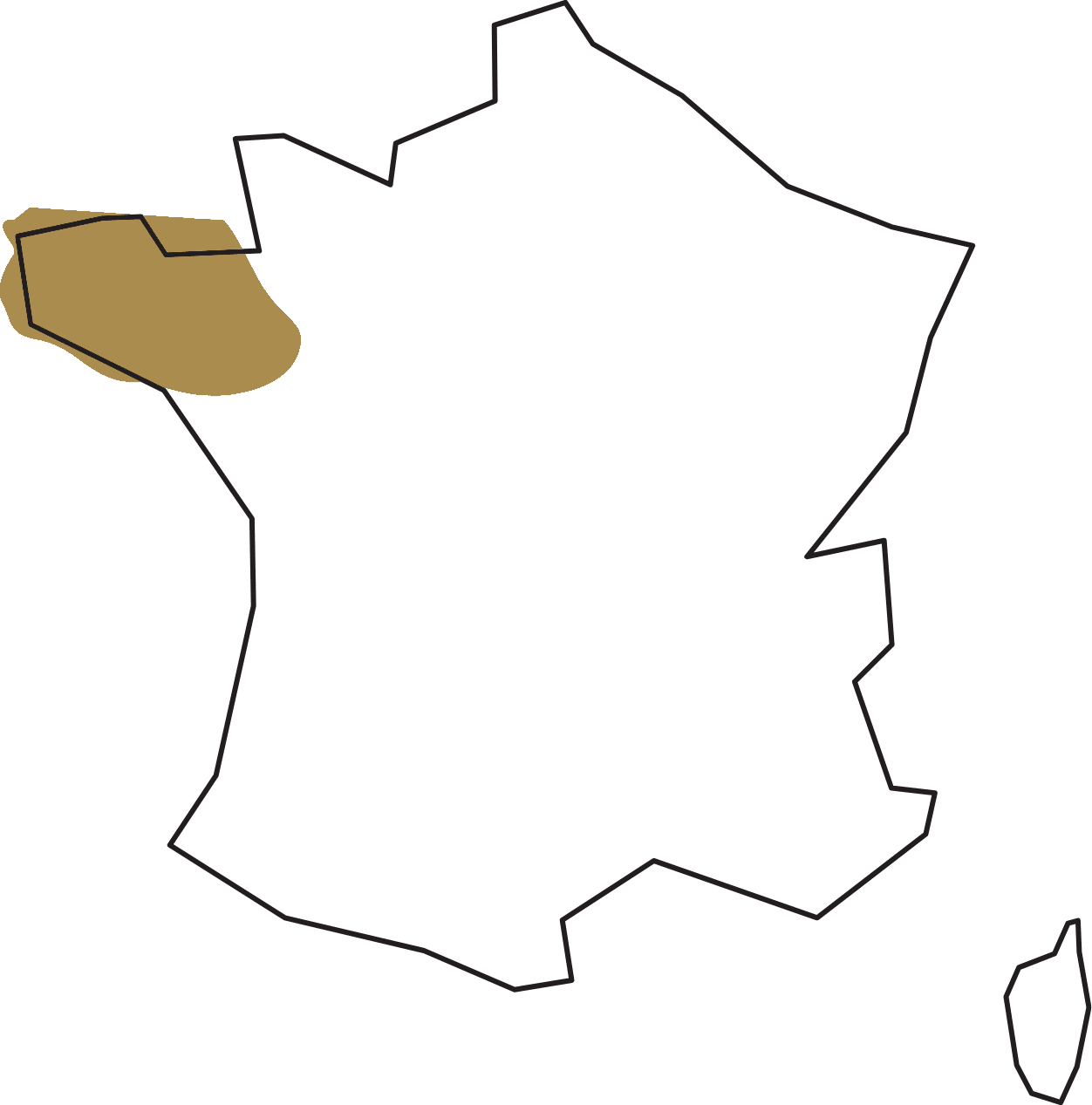 Carte de France illustrant la zone d'intervention de Serrure Gicale.